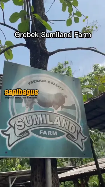 Sumiland-Farm